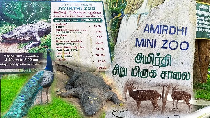 Family outing at Amirthi Zoological Park with our Vellore taxi