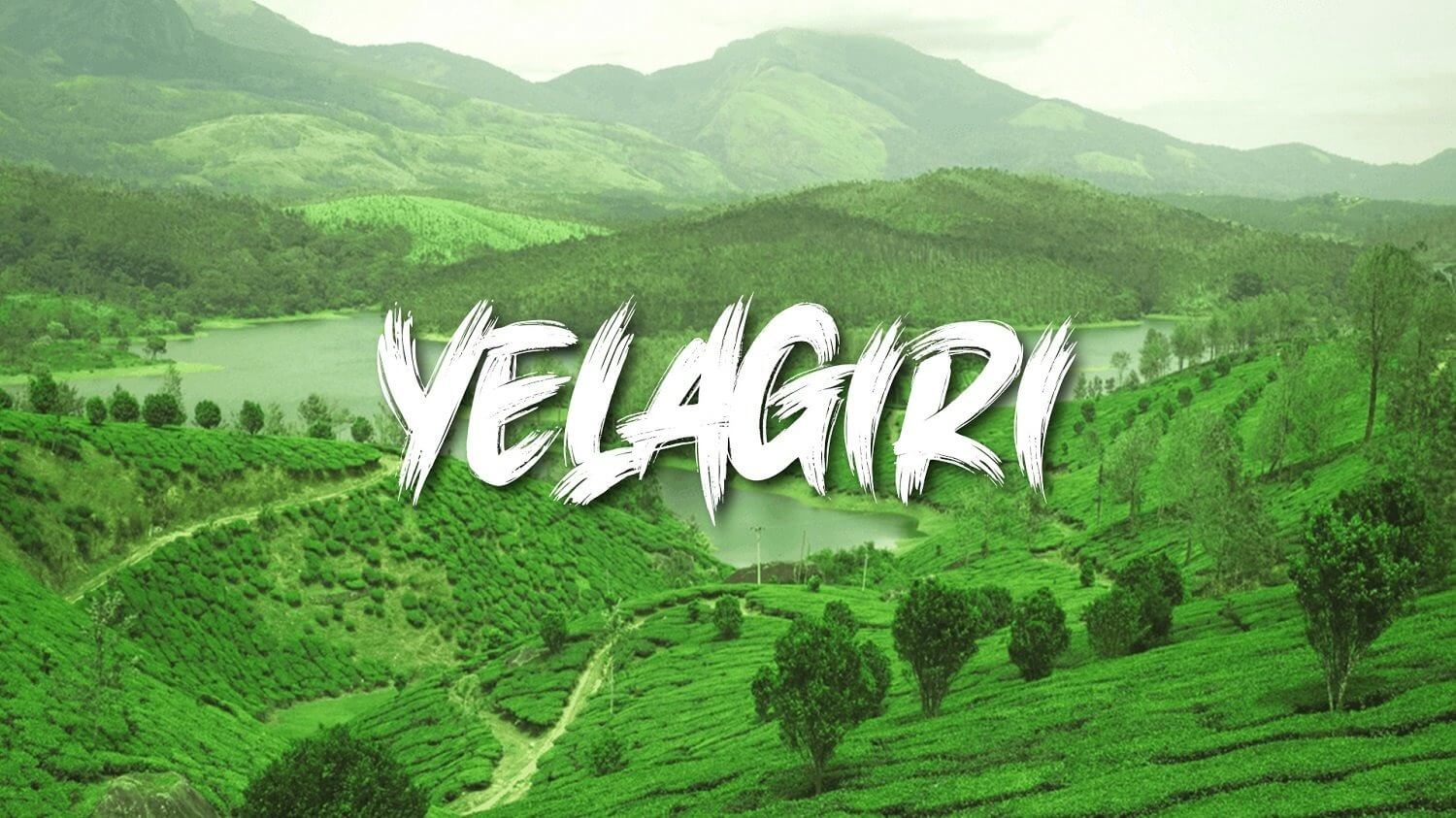 Scenic Yelagiri Hills, perfect for an outstation trip from Vellore